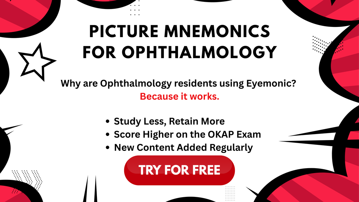 Learn About Eyes The Fun Way!