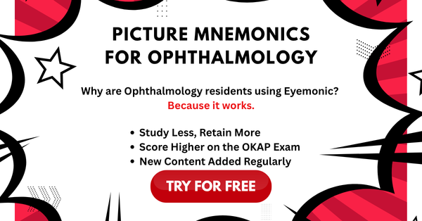 Learn About Eyes The Fun Way!